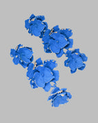 Cobalt Blue / One Size