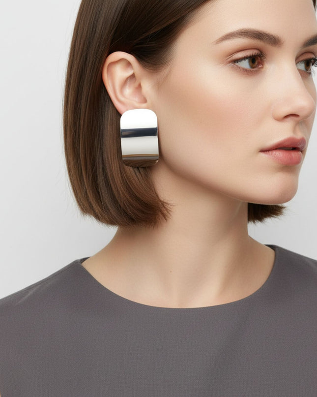 Stainless Steel Curved Rectangle Disc Earrings