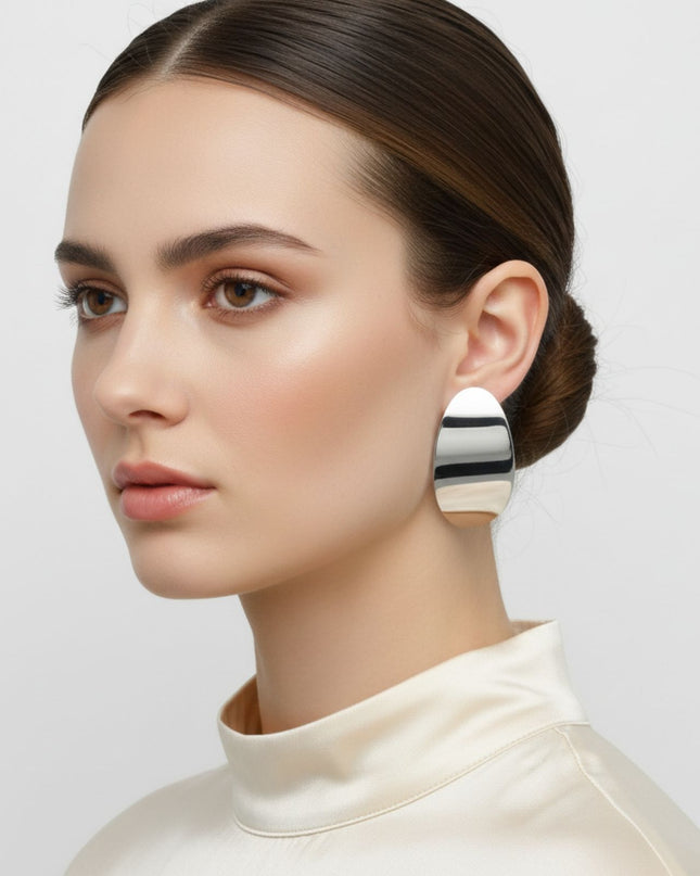 Stainless Steel Curved Oval Disc Earrings
