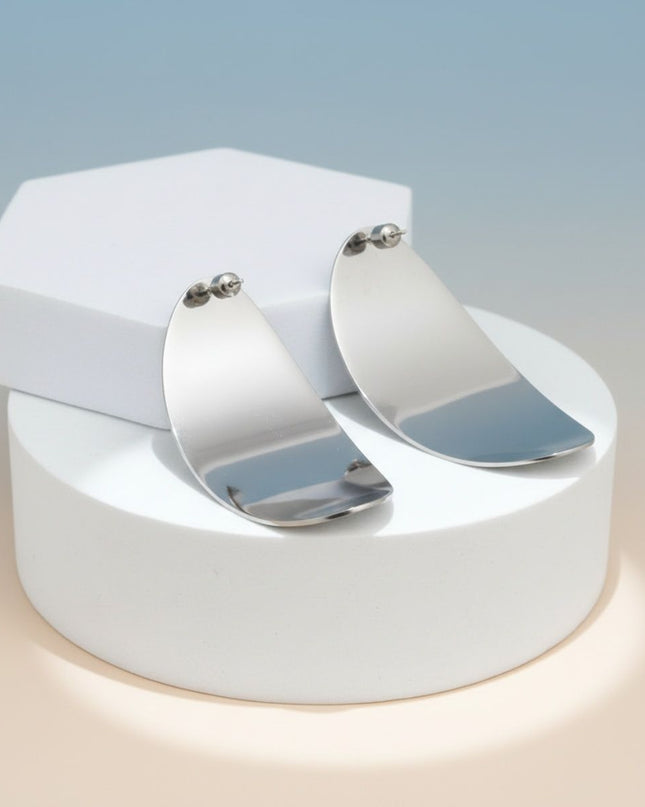 Stainless Steel Curved Oval Disc Earrings
